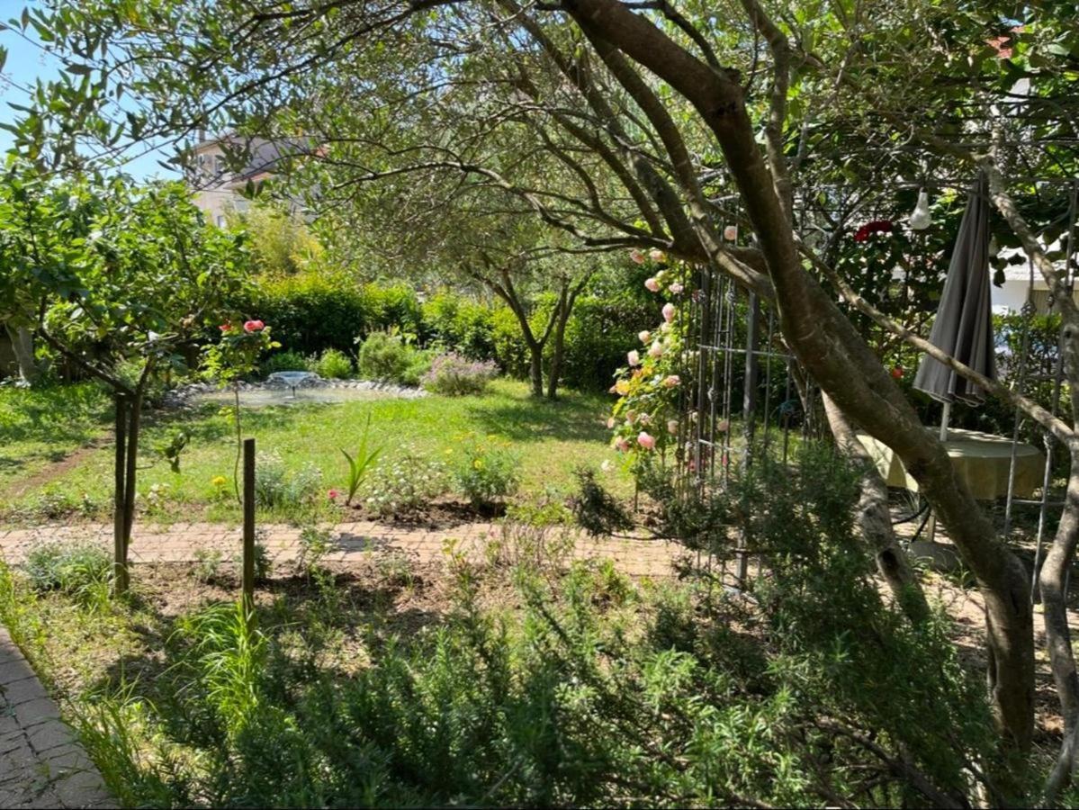 זאדאר Studio Apartment Elena מראה חיצוני תמונה